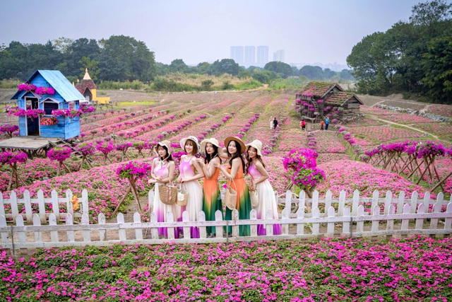 The picturesque rose jade hill in Hanoi - 7