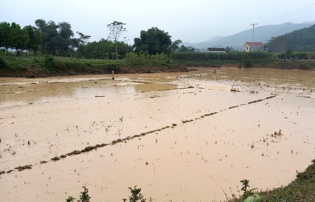 Vỡ kênh Bắc Sông Chu - Nam Sông Mã - 4 Vỡ kênh Bắc Sông Chu - Nam Sông Mã - 4