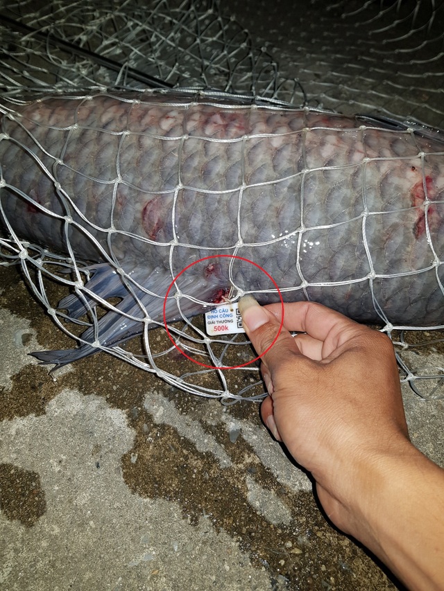 Ngang nhiên biến hồ điều hòa Định Công thành nơi câu cá dịch vụ - 3 Ngang nhiên biến hồ điều hòa Định Công thành nơi câu cá dịch vụ - 3