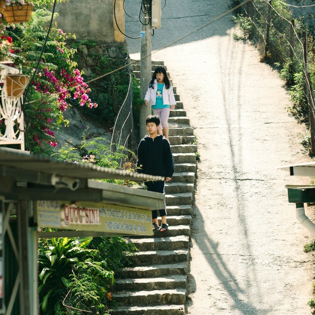 Close-up of the slope has a unique name, everyone who comes to Da Lat also takes pictures, check-in - 1