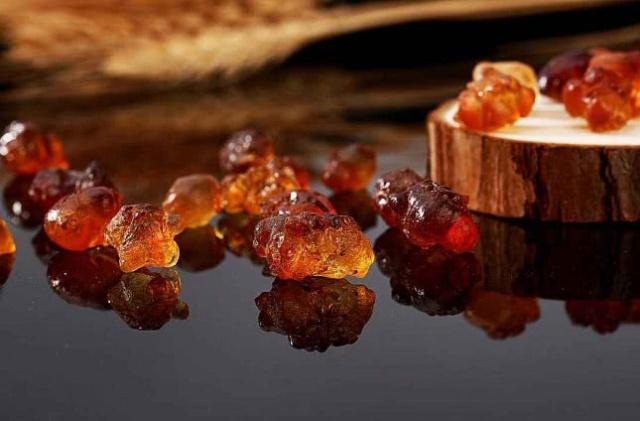 Cây chảy nước mũi, hứng đem bán được hàng trăm nghìn đồng/kg - 3 Cây chảy nước mũi, hứng đem bán được hàng trăm nghìn đồng/kg - 3