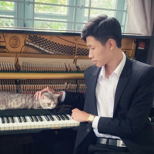 Nghệ sĩ piano người Việt gây sốt với loạt clip mèo lười nghe nhạc - 1 Nghệ sĩ piano người Việt gây sốt với loạt clip mèo lười nghe nhạc - 1