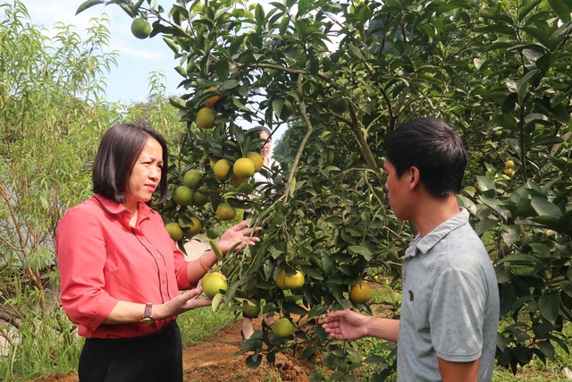 Lào Cai: Giảm nghèo nhanh và bền vững là sự kiện nổi bật năm 2020 - 1 Lào Cai: Giảm nghèo nhanh và bền vững là sự kiện nổi bật năm 2020 - 1