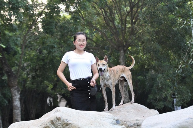 Chiêm ngưỡng 3 chú chó Phú Quốc độc nhất Việt Nam có tổng giá trị gần 1 tỷ đồng - 6 Chiêm ngưỡng 3 chú chó Phú Quốc độc nhất Việt Nam có tổng giá trị gần 1 tỷ đồng - 6