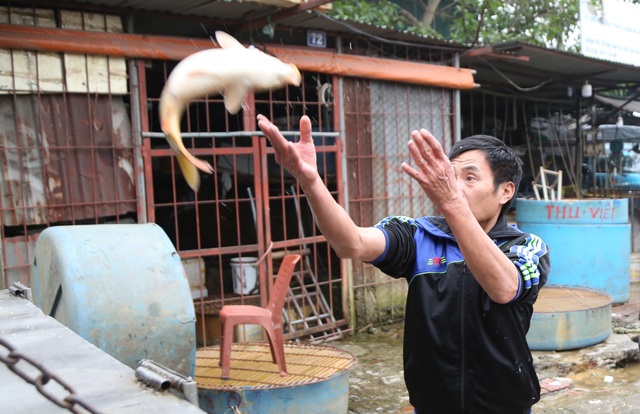 Mưu sinh trong giá rét giữa chợ cá lớn nhất Thủ đô - 18 Mưu sinh trong giá rét giữa chợ cá lớn nhất Thủ đô - 18