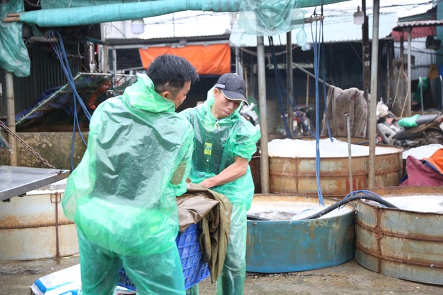 Mưu sinh trong giá rét giữa chợ cá lớn nhất Thủ đô - 6 Mưu sinh trong giá rét giữa chợ cá lớn nhất Thủ đô - 6