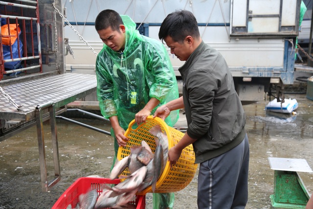 Mưu sinh trong giá rét giữa chợ cá lớn nhất Thủ đô - 14 Mưu sinh trong giá rét giữa chợ cá lớn nhất Thủ đô - 14