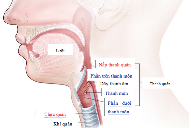 Khi nào khàn tiếng là dấu hiệu của bệnh ung thư? - 1