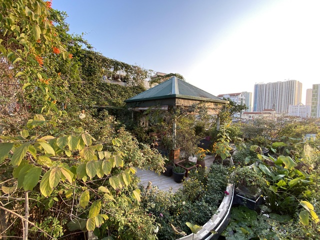 Vườn hoa 200m2 trên sân thượng, đẹp như tiên cảnh của mẹ đảm Hà thành - 1