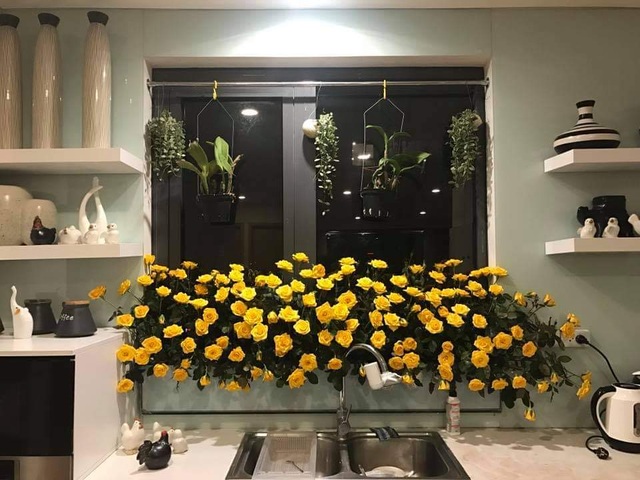 Vườn hoa khổng lồ trên sân thượng của người phụ nữ Hà Nội - 14 Vườn hoa khổng lồ trên sân thượng của người phụ nữ Hà Nội - 14