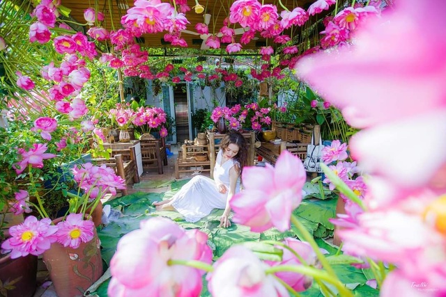 Vườn hoa khổng lồ trên sân thượng của người phụ nữ Hà Nội - 3 Vườn hoa khổng lồ trên sân thượng của người phụ nữ Hà Nội - 3
