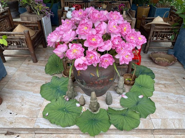 Vườn hoa khổng lồ trên sân thượng của người phụ nữ Hà Nội - 5 Vườn hoa khổng lồ trên sân thượng của người phụ nữ Hà Nội - 5