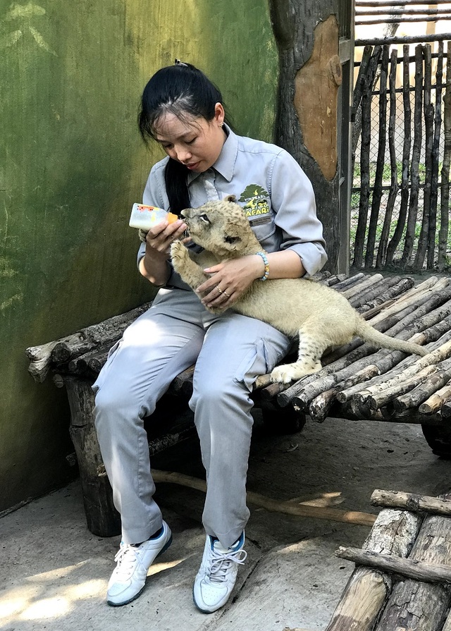 Những bảo mẫu thầm lặng tại Vinpearl Safari - 1 Những bảo mẫu thầm lặng tại Vinpearl Safari - 1
