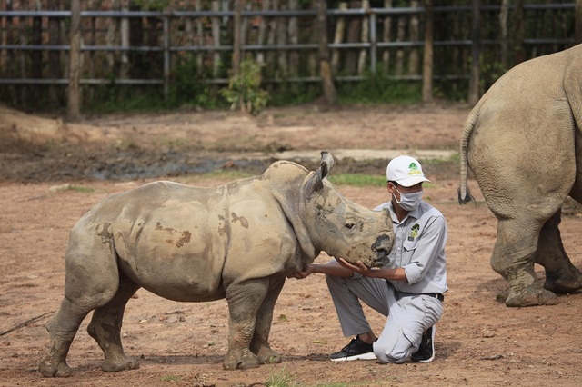 Những bảo mẫu thầm lặng tại Vinpearl Safari - 2 Những bảo mẫu thầm lặng tại Vinpearl Safari - 2