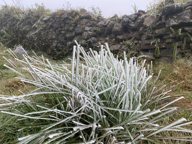 Tourists flock to Mau Son to admire the scenery of snow covered white mountains and forests - 6