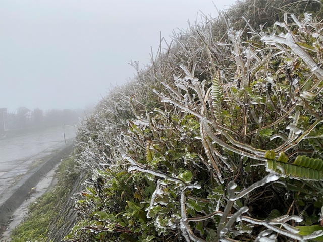 Tourists flock to Mau Son to admire the snow-covered landscape of mountains and forests - 9