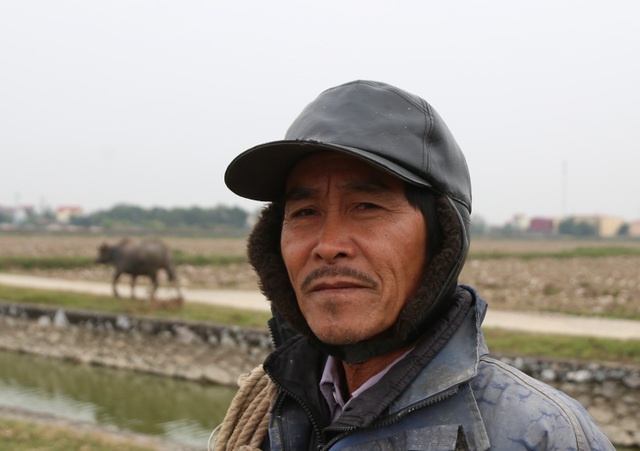 Thu tiền triệu từ nghề vỗ béo trâu dịp cuối năm - 5 Thu tiền triệu từ nghề vỗ béo trâu dịp cuối năm - 5