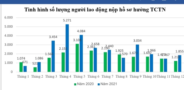 Gần 30.000 người nộp hồ sơ hưởng trợ cấp thất nghiệp trong năm 2020 - 1