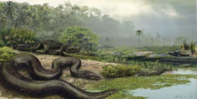 Huyền thoại loài rắn quái vật từng thống trị Colombia thời tiền sử - 2 Huyền thoại loài rắn quái vật từng thống trị Colombia thời tiền sử - 2