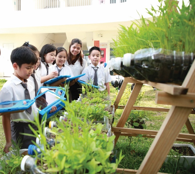 Công bố thương hiệu IGC - Cột mốc phát triển mới của TTC Edu - 4 Công bố thương hiệu IGC - Cột mốc phát triển mới của TTC Edu - 4
