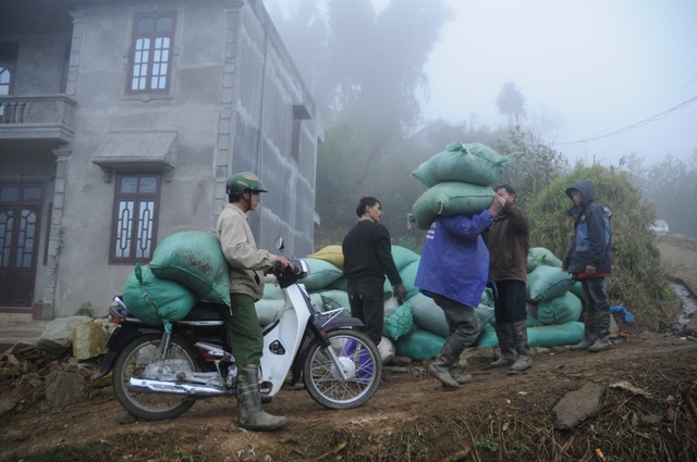 Nhịp sống vùng cao Sa Pa trong giá lạnh 0 độ  - 2