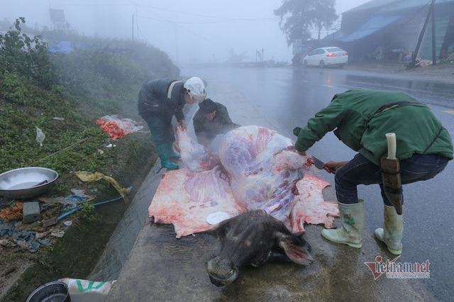 Trăm người co ro đi xem băng tuyết, đèo Ô Quy Hồ ùn dài 2 ngày liên tiếp - 10