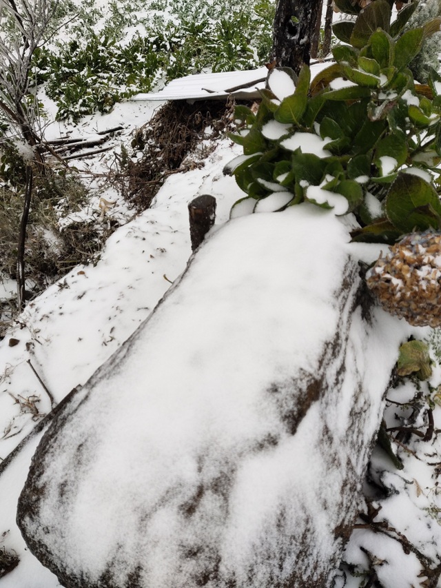 Heavy snowfall in Y Ty, the landscape covered in white like Europe - 4