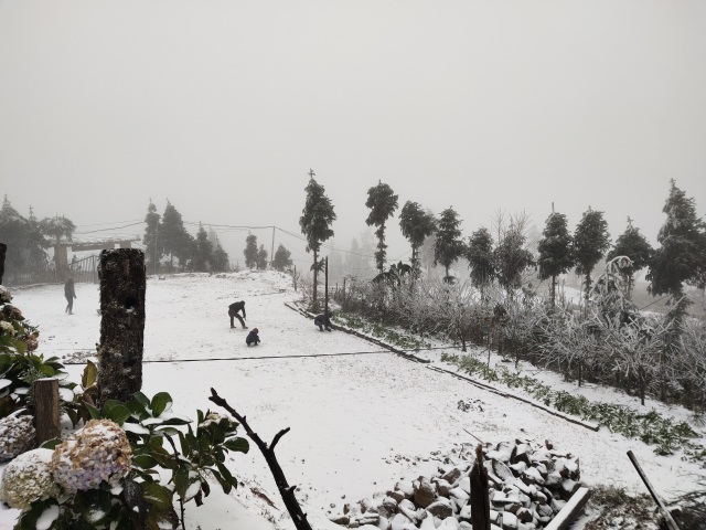 Heavy snowfall in Y Ty, the landscape covered in white like Europe - 8