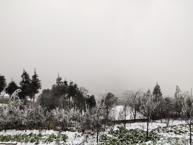 Tuyết rơi dày đặc ở Y Tý, cảnh vật phủ màu trắng xóa như trời Âu - 1