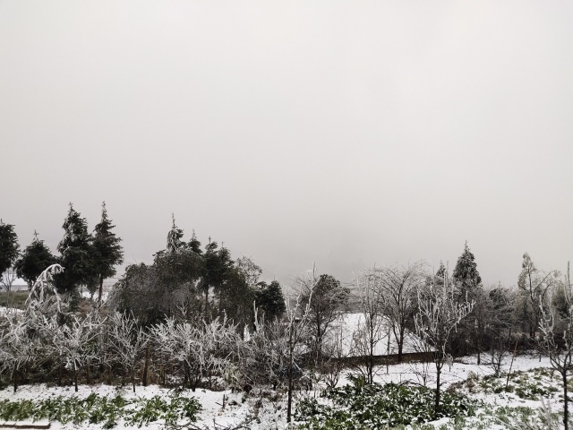 Heavy snowfall in Y Ty, the landscape covered in white like Europe - 1