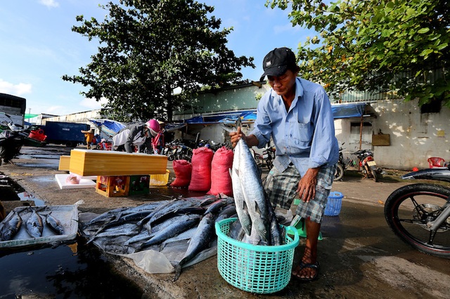 TS Trần Đình Thiên: Phải có đại bàng chứ chim sẻ, kiến thì khó mà bay lên - 2