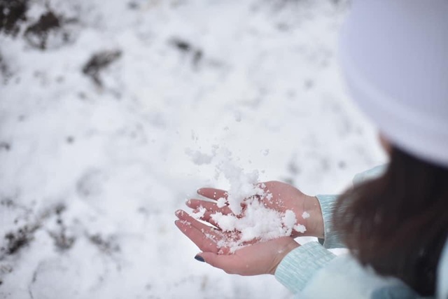 Snow fell in Lao Cai, visitors raced to show off check-in pictures - 3