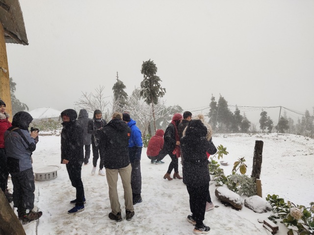 Snow fell in Lao Cai, visitors raced to show off check-in pictures - 4