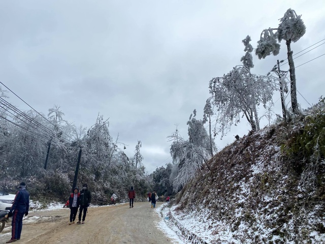 Snow fell in Lao Cai, visitors raced to show off check-in pictures - 9