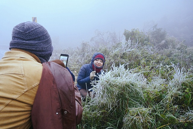 Snow fell in Lao Cai, visitors raced to show off check-in pictures - 12