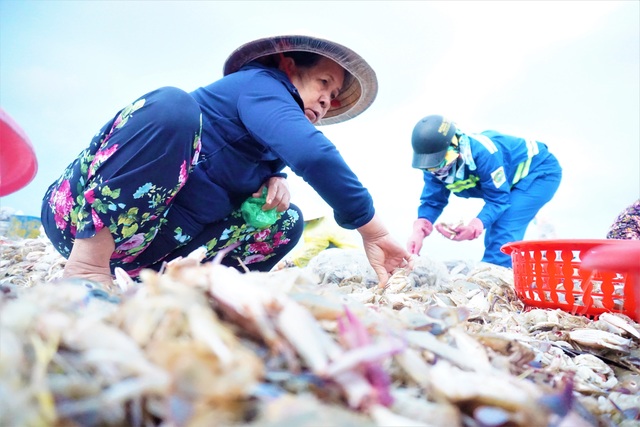 Nhọc nhằn mưu sinh trên bãi biển Đà Nẵng khi tảng sáng - 12 Nhọc nhằn mưu sinh trên bãi biển Đà Nẵng khi tảng sáng - 12