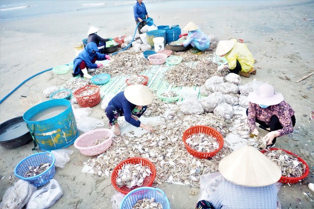 Nhọc nhằn mưu sinh trên bãi biển Đà Nẵng khi tảng sáng - 7 Nhọc nhằn mưu sinh trên bãi biển Đà Nẵng khi tảng sáng - 7