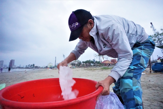 Nhọc nhằn mưu sinh trên bãi biển Đà Nẵng khi tảng sáng - 9 Nhọc nhằn mưu sinh trên bãi biển Đà Nẵng khi tảng sáng - 9