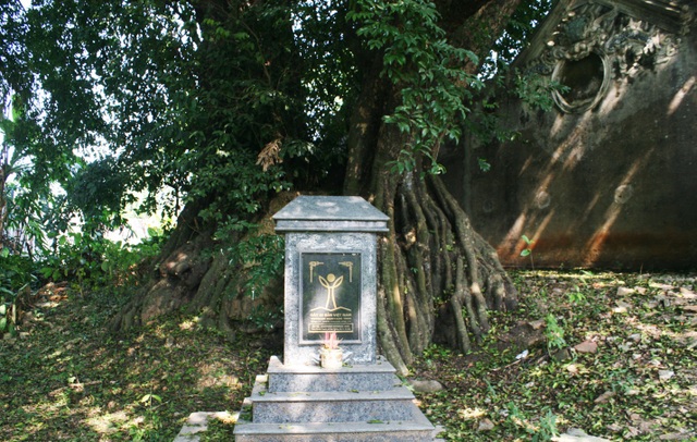 A thrilling story about the treasure of a thousand-year-old sacred tree in Hanoi - 2