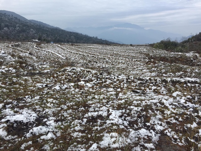 Hình ảnh đẹp nhưng buồn sau trận mưa tuyết ở vùng cao Ý Tý - 1