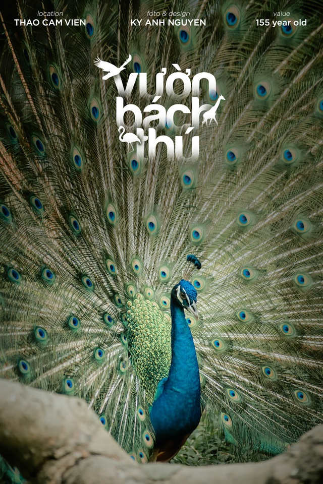Bộ ảnh Thảo Cầm Viên đẹp ngất ngây gây sốt mạng xã hội - 1 Bộ ảnh Thảo Cầm Viên đẹp ngất ngây gây sốt mạng xã hội - 1