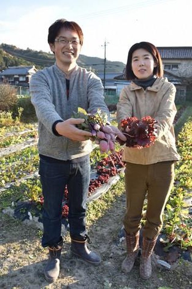 Những bó hoa rau đầy màu sắc của nông dân miền Tây Nhật Bản - 2 Những bó hoa rau đầy màu sắc của nông dân miền Tây Nhật Bản - 2