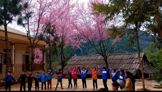 Watching cherry blossoms bloom captivates the hearts of people in remote regions - 2