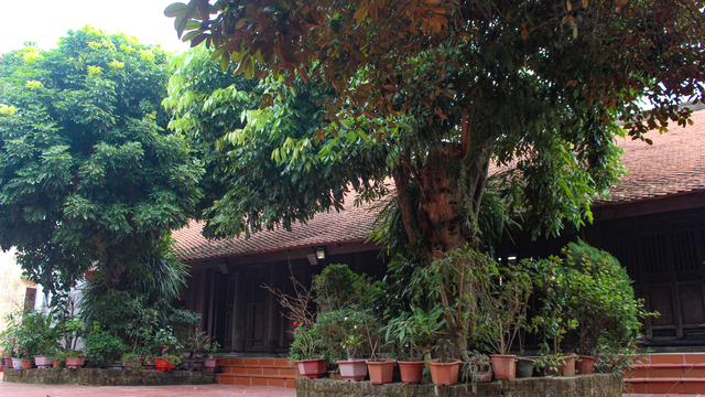 The hundred-year-old wooden house contains many precious antiques of the Nguyen dynasty in Ha Nam - 7