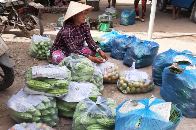 Sóc Trăng: Chị em thoát nghèo nhờ chung tay hùn vốn kinh doanh, trồng màu - 2