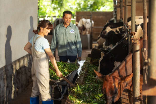 Bí quyết kinh doanh độc đáo của thương hiệu sữa 150 năm