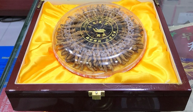 Quà Tết siêu xịn giá 1,7 tỷ đồng/kg, chỉ có đại gia mới dám xuống tiền