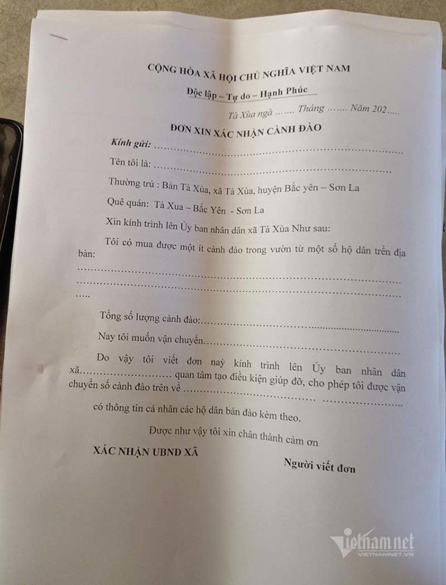 Đào rừng tê liệt: Dân buôn nằm im, nông dân bế tắc lo mất Tết - 1