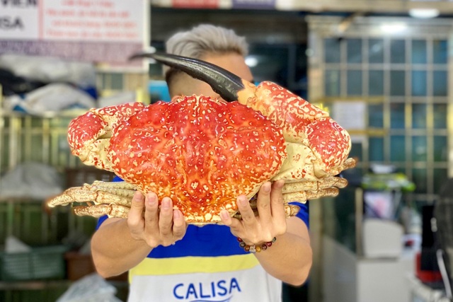 Cua biển khổng lồ giá chục triệu đồng/con, đại gia không tiếc mua về ăn - 1 Cua biển khổng lồ giá chục triệu đồng/con, đại gia không tiếc mua về ăn - 1