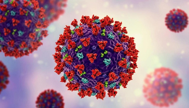 Biến chủng SARS-CoV-2 ở Anh có thể gây chết chóc cao hơn 40% - 1